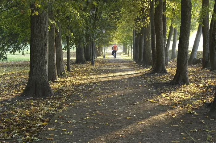 Framed Print : Autumn Pathway Print