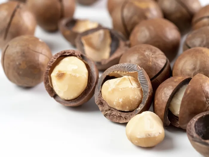 Framed Print : Macadamia Nuts Print on White Background