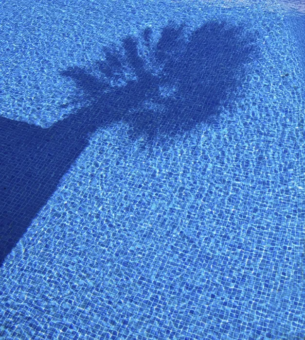 Framed Print : Shadow of a Palm Tree in a Pool Print Framed Print : Shadow of a Palm Tree in a Pool Print