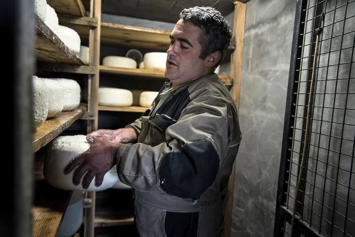 Framed Print : Shepherd Making Sheep's Cheese in the Pyrenees Peaks Print Framed Print : Shepherd Making Sheep's Cheese in the Pyrenees Peaks Print