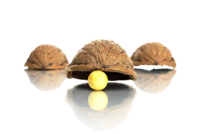 Framed Print : Shell Game Print by imageBROKER Framed Print : Shell Game Print by imageBROKER