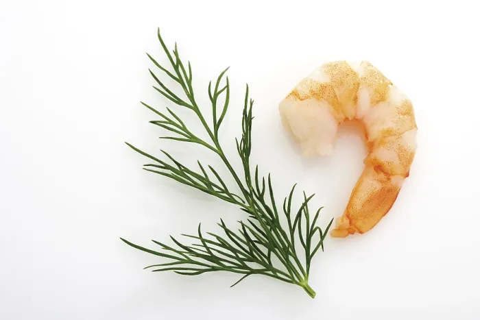 Framed Print : Shrimp and Dill Print Framed Print : Shrimp and Dill Print