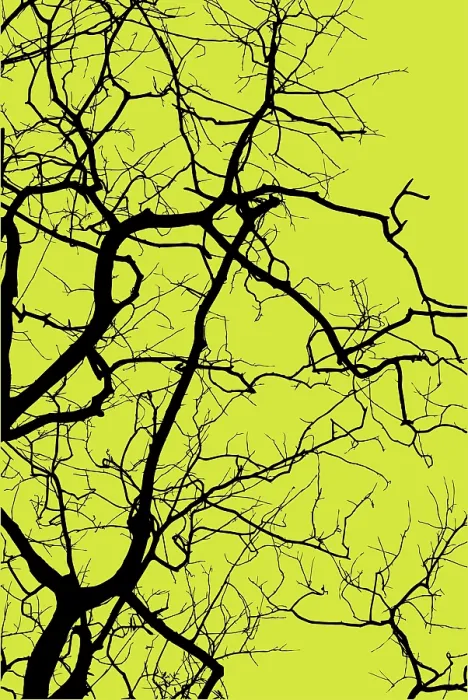 Framed Print : Silhouette of Tree Print Framed Print : Silhouette of Tree Print