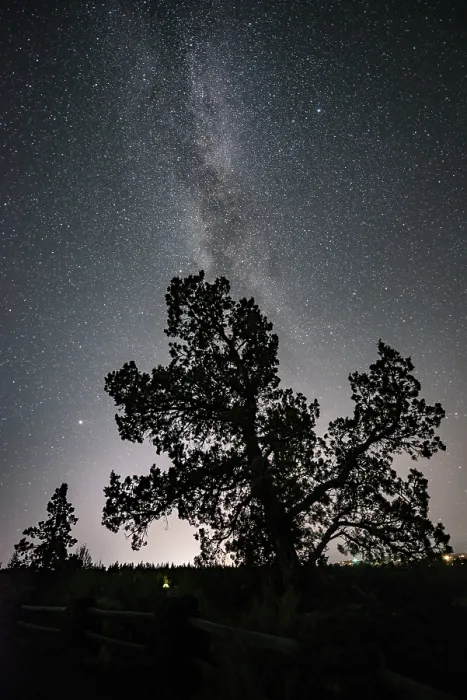 Framed Print : Smith Rock State Park Print: Tree Silhouette at Night Framed Print : Smith Rock State Park Print: Tree Silhouette at Night