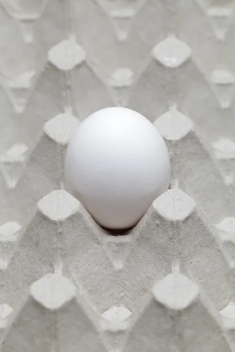 Framed Print : Single Egg in an Empty Egg Carton Print Framed Print : Single Egg in an Empty Egg Carton Print