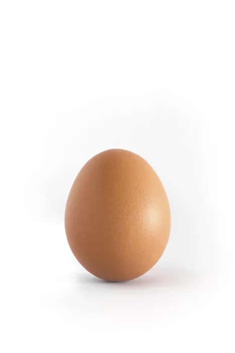 Framed Print : Single Egg Print on White Background Framed Print : Single Egg Print on White Background