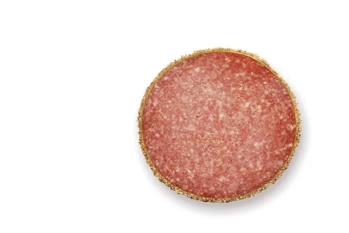 Framed Print : Single Slice of Pepper Salami Print