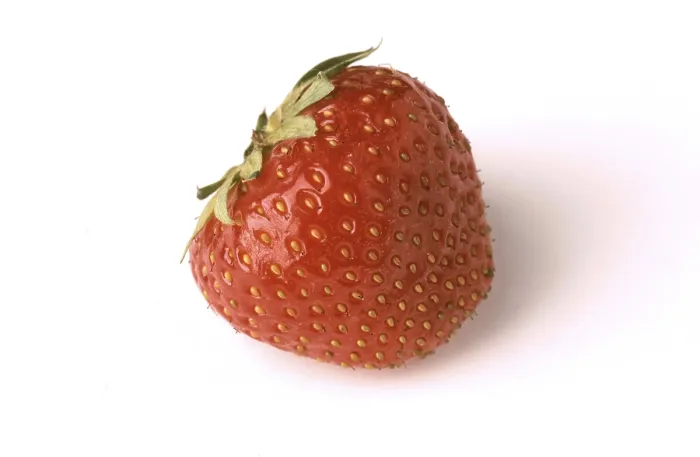 Framed Print : Single Strawberry Print Framed Print : Single Strawberry Print