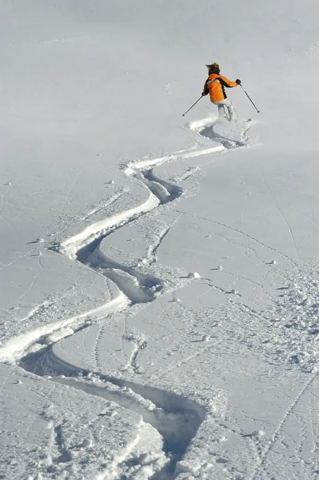 Framed Print : Skiing in Deep Snow Print Framed Print : Skiing in Deep Snow Print
