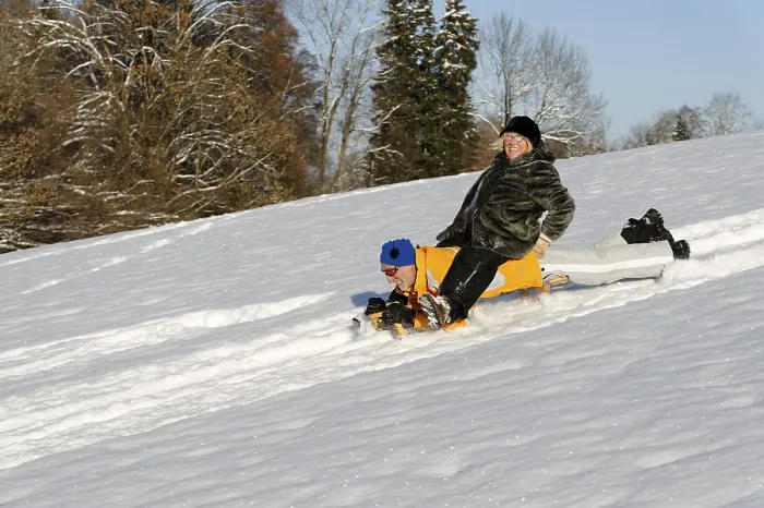 Framed Print : Winter Sports: Sledding Print Framed Print : Winter Sports: Sledding Print