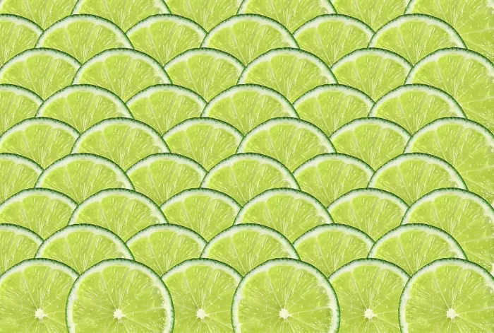 Framed Print : Many Slices of Lime Print Background Framed Print : Many Slices of Lime Print Background