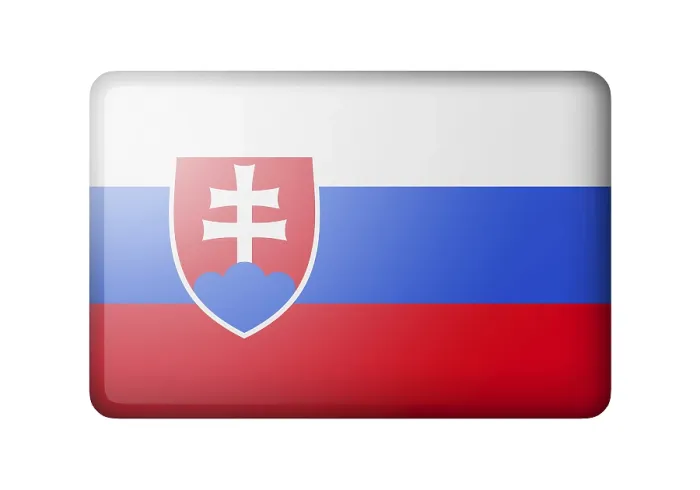 Framed Print : The Slovakia Flag Print - Rectangular Matte Icon