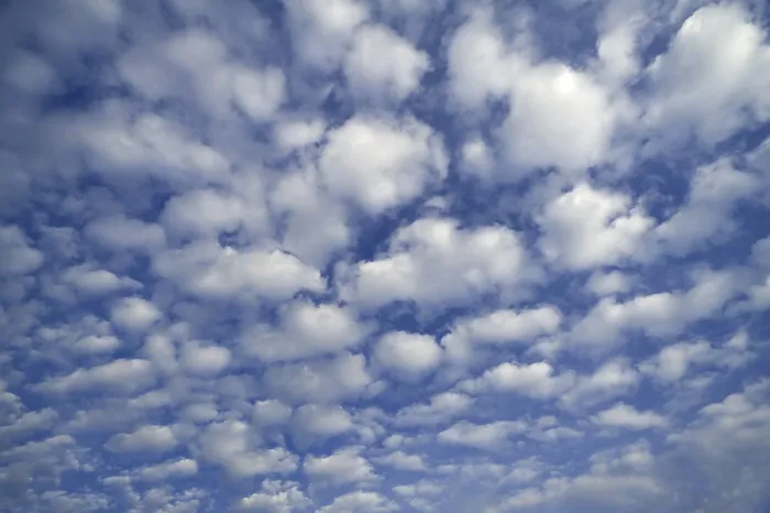 Framed Print : Small Fluffy Clouds Print: Cirrocumulus Framed Print : Small Fluffy Clouds Print: Cirrocumulus