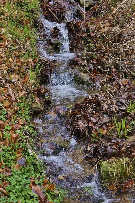 Framed Print : Small Stream in Early Spring Germany Print Framed Print : Small Stream in Early Spring Germany Print