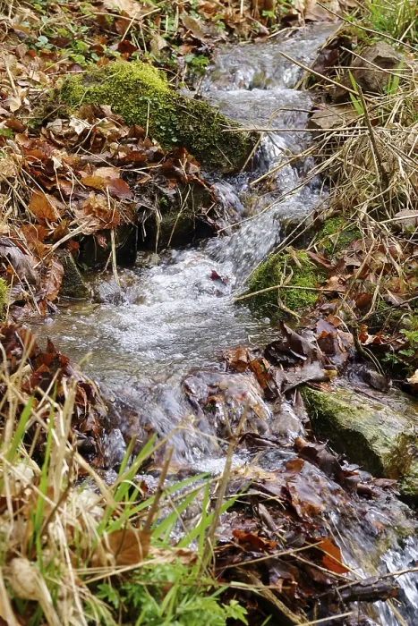 Framed Print : Small Stream in Early Spring Print, Germany Framed Print : Small Stream in Early Spring Print, Germany