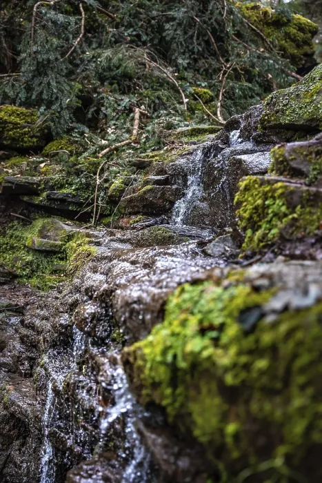 Framed Print : Black Forest Waterfall Print, Germany Framed Print : Black Forest Waterfall Print, Germany