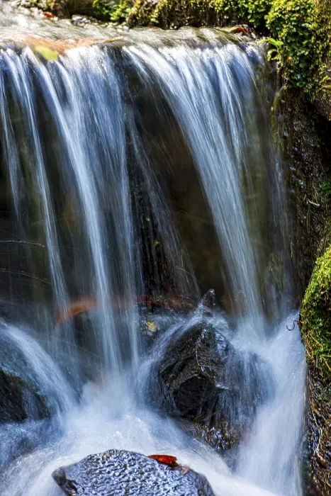 Framed Print : Small Stream and Waterfall Print, Brazilian Rainforest
