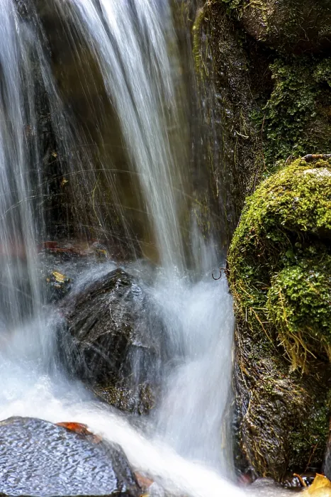 Framed Print : Brazilian Rainforest Print: Small Stream and Waterfall Framed Print : Brazilian Rainforest Print: Small Stream and Waterfall