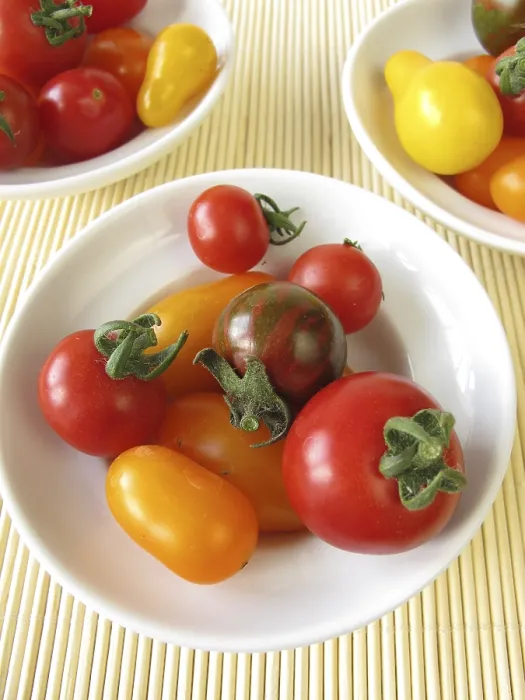 Framed Print : Small Tomatoes Print Framed Print : Small Tomatoes Print