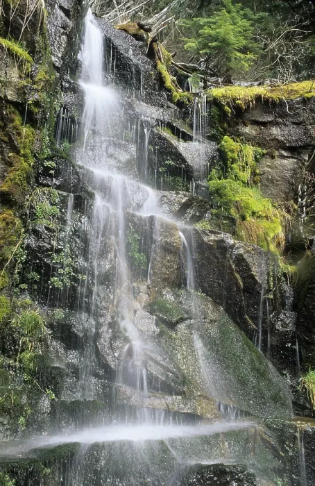 Framed Print : Small Waterfall Print, Cascade Range, Washington State Framed Print : Small Waterfall Print, Cascade Range, Washington State