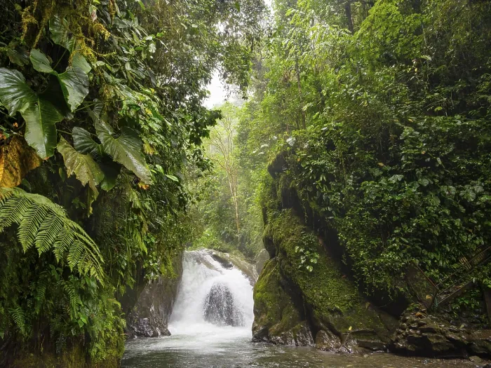 Framed Print : Cloud Forest Waterfall Print, Mindo Ecuador Framed Print : Cloud Forest Waterfall Print, Mindo Ecuador