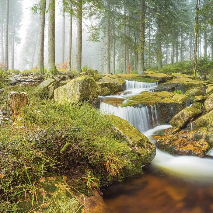 Framed Print : Small Waterfall, Kalte Bode, Harz Print Framed Print : Small Waterfall, Kalte Bode, Harz Print