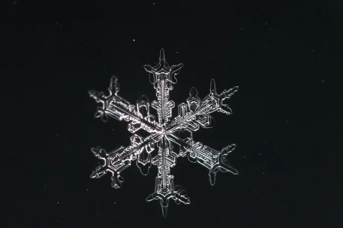 Framed Print : Snow Crystal Print: Delicate Ice Formations Framed Print : Snow Crystal Print: Delicate Ice Formations