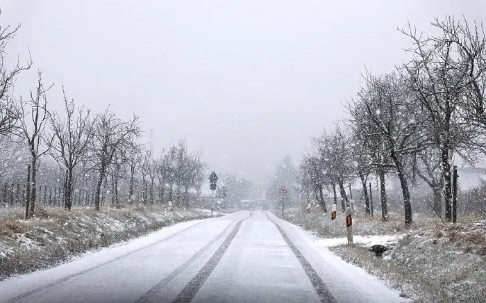 Framed Print : Snowfall Print by ImageBROKER Framed Print : Snowfall Print by ImageBROKER