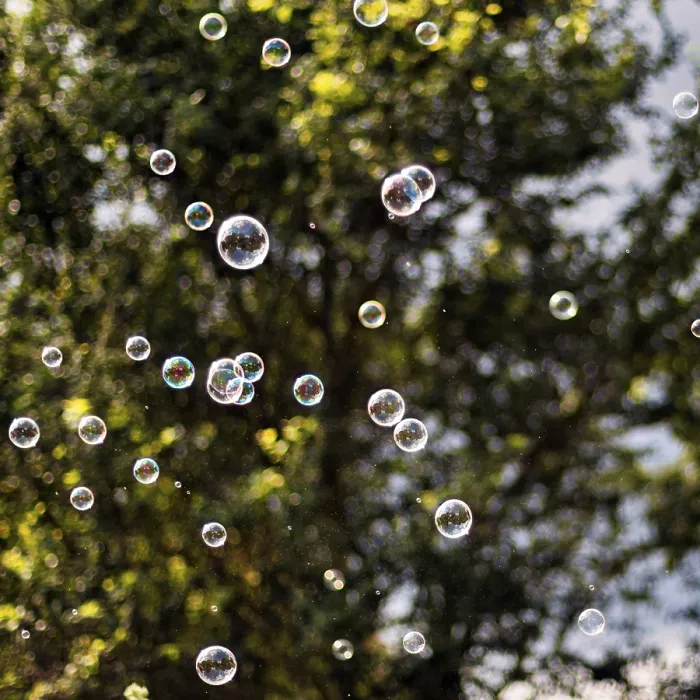 Framed Print : Many Soap Bubbles Print in Front of a Tree Framed Print : Many Soap Bubbles Print in Front of a Tree