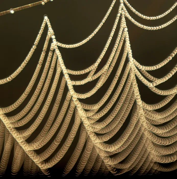 Framed Print : Spiderweb Covered in Dew Print Framed Print : Spiderweb Covered in Dew Print