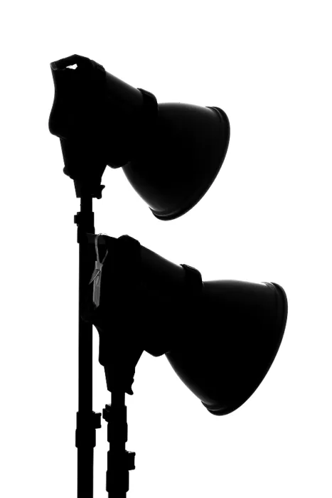 Framed Print : Spotlight Print from imageBROKER Framed Print : Spotlight Print from imageBROKER