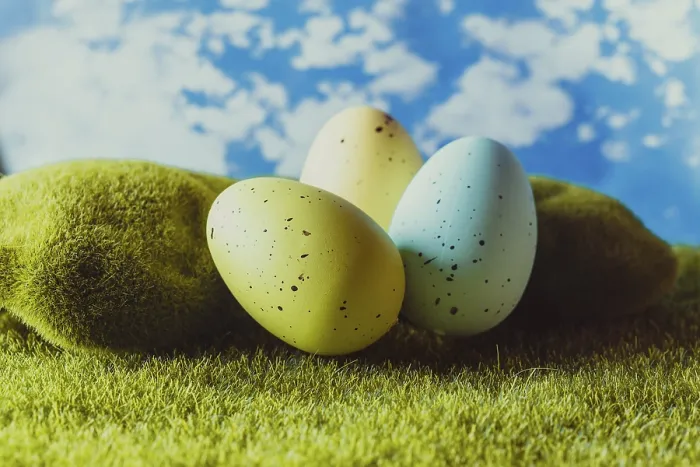 Framed Print : Spotted Easter Eggs Print on Green Grass Framed Print : Spotted Easter Eggs Print on Green Grass