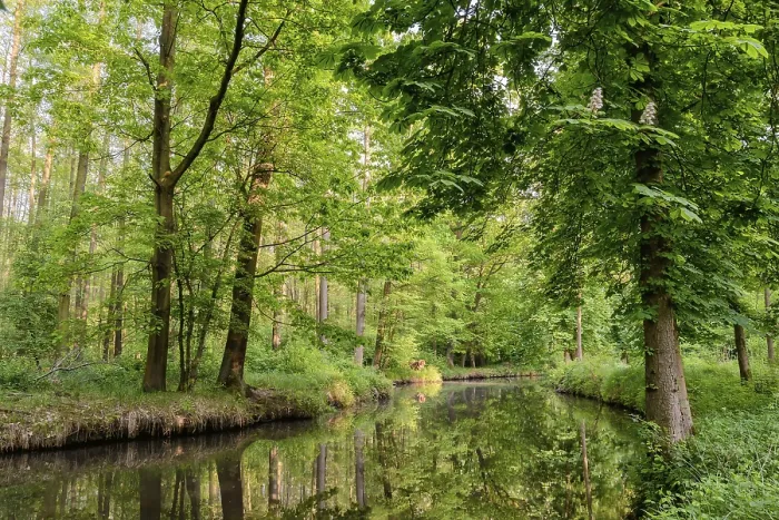 Framed Print : Spreewald Print from imageBROKER Framed Print : Spreewald Print from imageBROKER