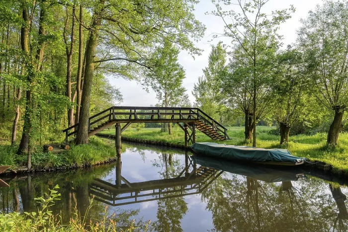 Framed Print : Spreewald Print from imageBROKER Framed Print : Spreewald Print from imageBROKER