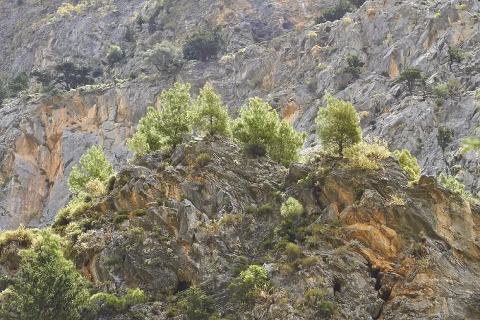 Framed Print : Spring in Crete Print: Backlit Gorge Landscape Framed Print : Spring in Crete Print: Backlit Gorge Landscape