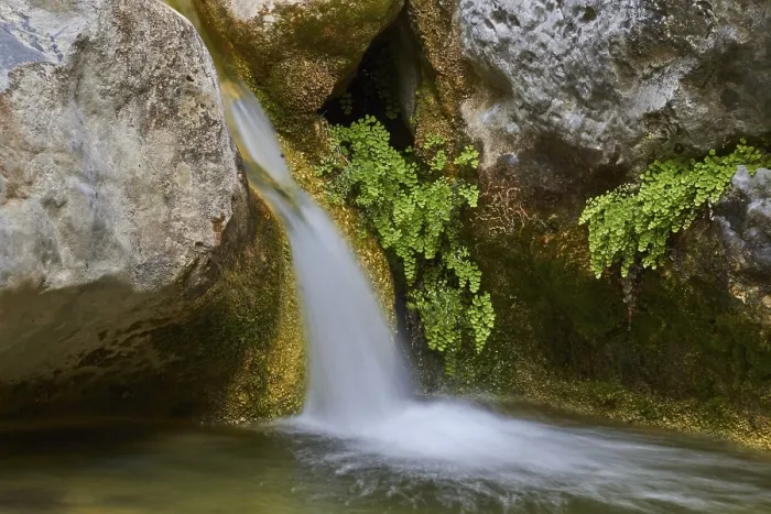 Framed Print : Spring in Crete Print: Samaria Gorge Waterfall Framed Print : Spring in Crete Print: Samaria Gorge Waterfall