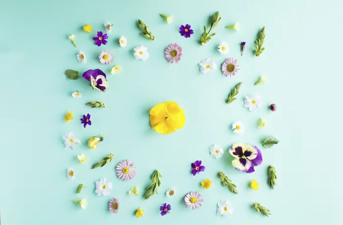 Framed Print : Minimalistic Spring Flowers Print