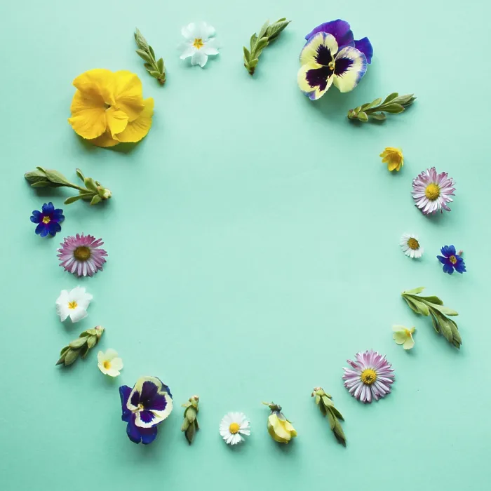 Framed Print : Spring Flowers Circle Round Frame Print Framed Print : Spring Flowers Circle Round Frame Print