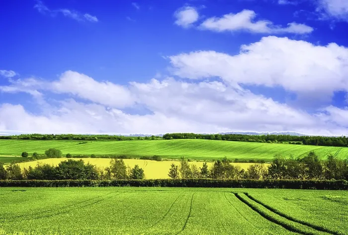Framed Print : Spring Green Landscape Print Framed Print : Spring Green Landscape Print