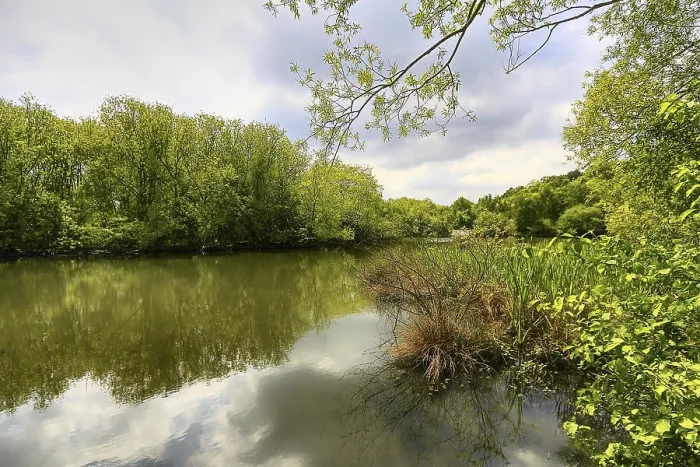 Framed Print : Spring Lake Print by ImageBROKER Framed Print : Spring Lake Print by ImageBROKER