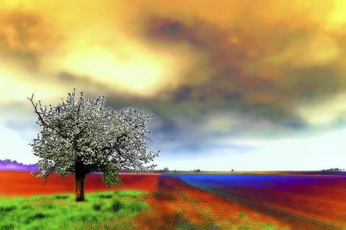 Framed Print : Spring Landscape Print Framed Print : Spring Landscape Print