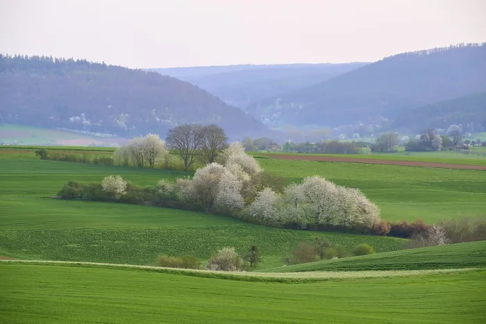 Framed Print : Spring Landscape Print, Bavaria, Germany