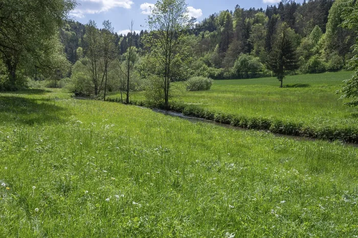 Framed Print : Spring Meadow Print with River Course in AuseBtal, Bavaria Framed Print : Spring Meadow Print with River Course in AuseBtal, Bavaria