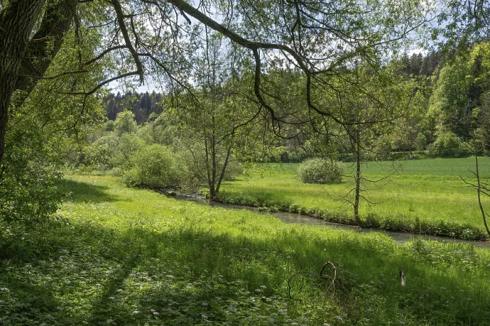 Framed Print : Spring Meadow Print with River Course in AuseBtal, Bavaria Framed Print : Spring Meadow Print with River Course in AuseBtal, Bavaria