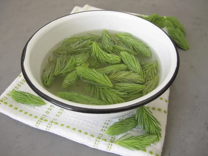 Framed Print : Spruce Tip Bath Print Framed Print : Spruce Tip Bath Print