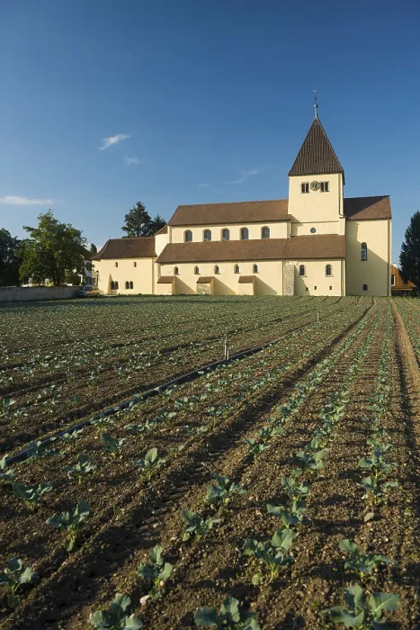 Framed Print : St. George and Vegetable Fields Print, Reichenau Island, Germany Framed Print : St. George and Vegetable Fields Print, Reichenau Island, Germany