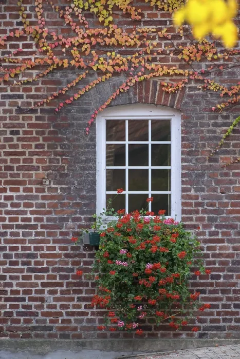 Framed Print : Stable Window Print from imageBROKER