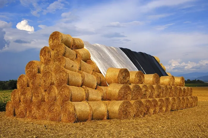 Framed Print : Round Straw Bale Stack Print Framed Print : Round Straw Bale Stack Print