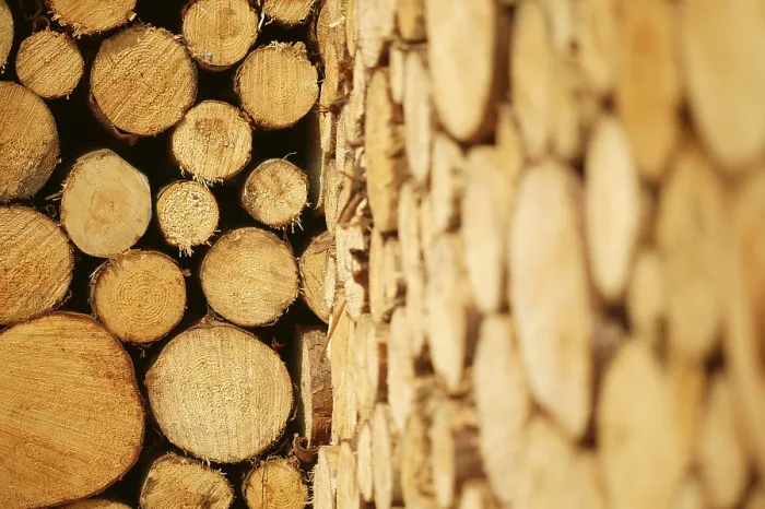 Framed Print : Stacked Logs Print Framed Print : Stacked Logs Print