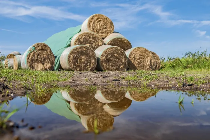 Framed Print : Straw Bale Print with Reflection Framed Print : Straw Bale Print with Reflection